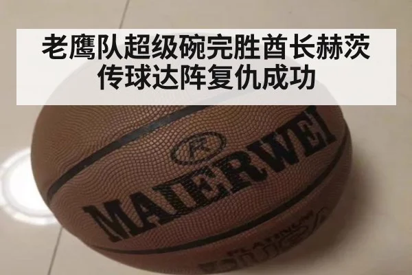 老鹰队超级碗完胜酋长赫茨传球达阵复仇成功